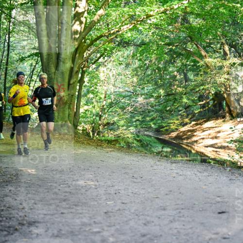 28.09.2025 - 33. Volkslauf durch das schöne Alstertal Dr. Thomas Lammeyer http://msf.ph/oto/8957808 28.09.2025 10:49:30 Laufen 3313, 3942, 3391 meine-sportfotos.de