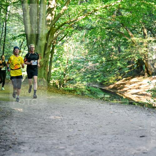 28.09.2025 - 33. Volkslauf durch das schöne Alstertal Dr. Thomas Lammeyer http://msf.ph/oto/8957810 28.09.2025 10:49:30 Laufen 3313, 3391, 3942 meine-sportfotos.de