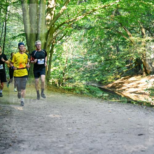 28.09.2025 - 33. Volkslauf durch das schöne Alstertal Dr. Thomas Lammeyer http://msf.ph/oto/8957814 28.09.2025 10:49:31 Laufen 3313, 3391 meine-sportfotos.de