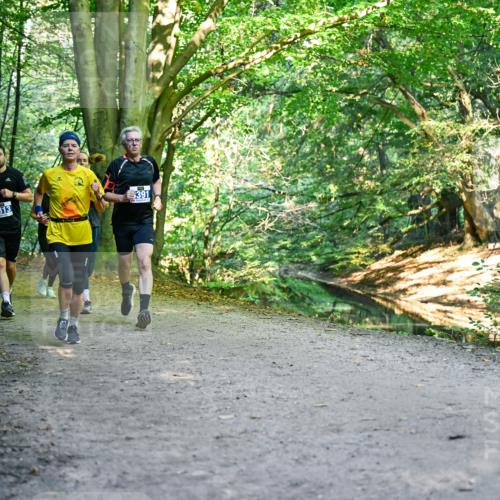 28.09.2025 - 33. Volkslauf durch das schöne Alstertal Dr. Thomas Lammeyer http://msf.ph/oto/8957816 28.09.2025 10:49:31 Laufen 3313, 391 meine-sportfotos.de