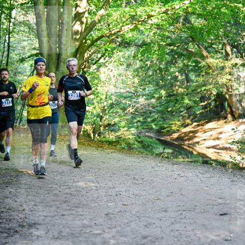 28.09.2025 - 33. Volkslauf durch das schöne Alstertal Dr. Thomas Lammeyer http://msf.ph/oto/8957819 28.09.2025 10:49:31 Laufen 3313, 3312, 3391 meine-sportfotos.de