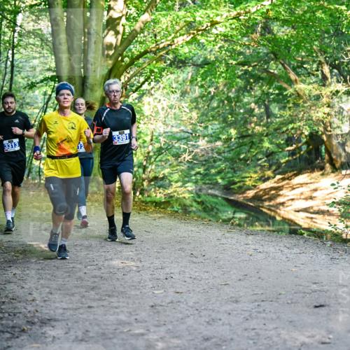 28.09.2025 - 33. Volkslauf durch das schöne Alstertal Dr. Thomas Lammeyer http://msf.ph/oto/8957821 28.09.2025 10:49:31 Laufen 3313, 3391 meine-sportfotos.de