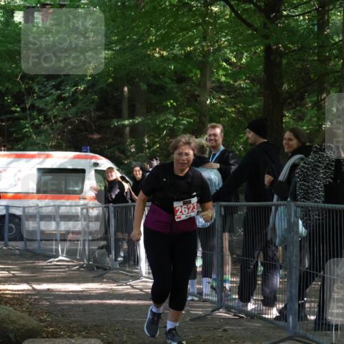 28.09.2025 - 33. Volkslauf durch das schöne Alstertal Strokosch-Dieckow http://msf.ph/oto/8957823 28.09.2025 13:05:42 Ziel 2623 meine-sportfotos.de