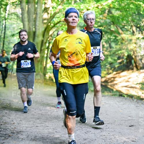 28.09.2025 - 33. Volkslauf durch das schöne Alstertal Dr. Thomas Lammeyer http://msf.ph/oto/8957833 28.09.2025 10:49:33 Laufen 3313, 3391 meine-sportfotos.de