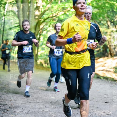 28.09.2025 - 33. Volkslauf durch das schöne Alstertal Dr. Thomas Lammeyer http://msf.ph/oto/8957835 28.09.2025 10:49:33 Laufen 3313, 3312 meine-sportfotos.de