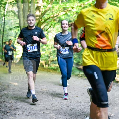 28.09.2025 - 33. Volkslauf durch das schöne Alstertal Dr. Thomas Lammeyer http://msf.ph/oto/8957837 28.09.2025 10:49:34 Laufen 3313, 3312 meine-sportfotos.de