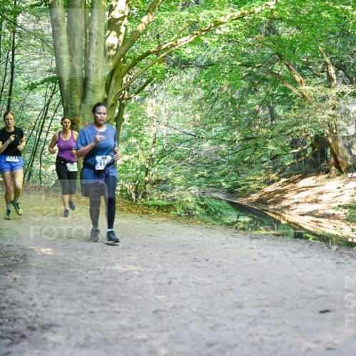28.09.2025 - 33. Volkslauf durch das schöne Alstertal Dr. Thomas Lammeyer http://msf.ph/oto/8957846 28.09.2025 10:49:35 Laufen 3048 meine-sportfotos.de