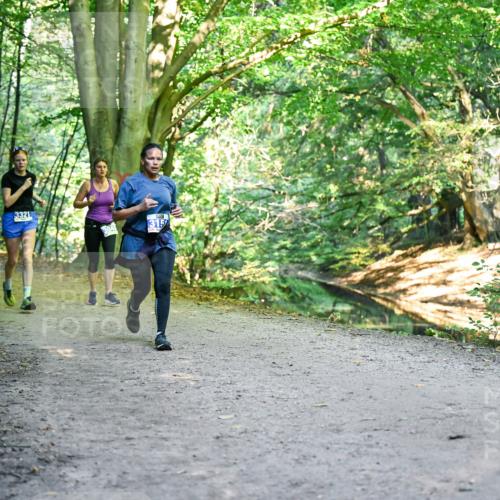 28.09.2025 - 33. Volkslauf durch das schöne Alstertal Dr. Thomas Lammeyer http://msf.ph/oto/8957848 28.09.2025 10:49:35 Laufen 3321, 315 meine-sportfotos.de