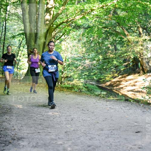 28.09.2025 - 33. Volkslauf durch das schöne Alstertal Dr. Thomas Lammeyer http://msf.ph/oto/8957849 28.09.2025 10:49:36 Laufen 3321, 3048, 3151 meine-sportfotos.de