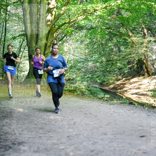 28.09.2025 - 33. Volkslauf durch das schöne Alstertal Dr. Thomas Lammeyer http://msf.ph/oto/8957850 28.09.2025 10:49:36 Laufen 3352, 3321, 3048 meine-sportfotos.de