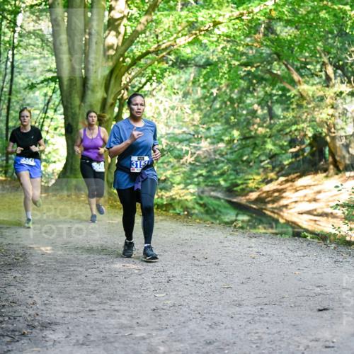 28.09.2025 - 33. Volkslauf durch das schöne Alstertal Dr. Thomas Lammeyer http://msf.ph/oto/8957851 28.09.2025 10:49:36 Laufen 1709, 3157 meine-sportfotos.de