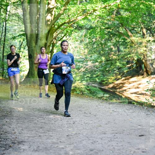 28.09.2025 - 33. Volkslauf durch das schöne Alstertal Dr. Thomas Lammeyer http://msf.ph/oto/8957852 28.09.2025 10:49:36 Laufen 3321, 315 meine-sportfotos.de