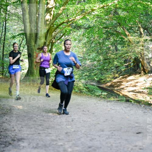 28.09.2025 - 33. Volkslauf durch das schöne Alstertal Dr. Thomas Lammeyer http://msf.ph/oto/8957853 28.09.2025 10:49:36 Laufen 3352, 3321 meine-sportfotos.de