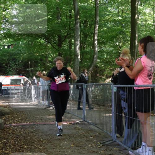 28.09.2025 - 33. Volkslauf durch das schöne Alstertal Strokosch-Dieckow http://msf.ph/oto/8957855 28.09.2025 13:05:44 Ziel 2623 meine-sportfotos.de