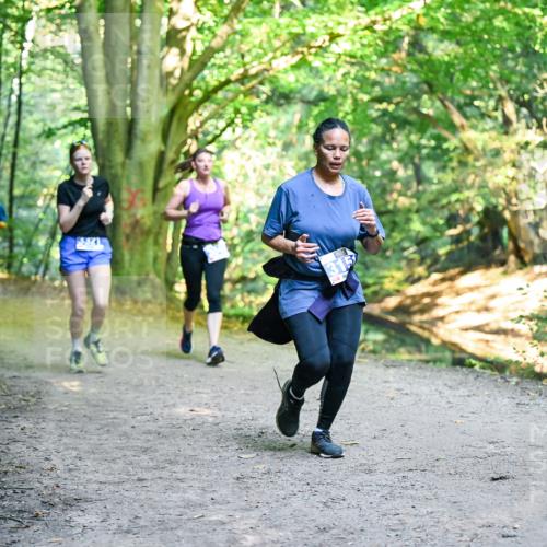 28.09.2025 - 33. Volkslauf durch das schöne Alstertal Dr. Thomas Lammeyer http://msf.ph/oto/8957857 28.09.2025 10:49:37 Laufen  meine-sportfotos.de