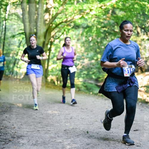 28.09.2025 - 33. Volkslauf durch das schöne Alstertal Dr. Thomas Lammeyer http://msf.ph/oto/8957861 28.09.2025 10:49:38 Laufen 315 meine-sportfotos.de