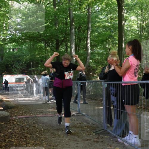 28.09.2025 - 33. Volkslauf durch das schöne Alstertal Strokosch-Dieckow http://msf.ph/oto/8957862 28.09.2025 13:05:44 Ziel 2623 meine-sportfotos.de