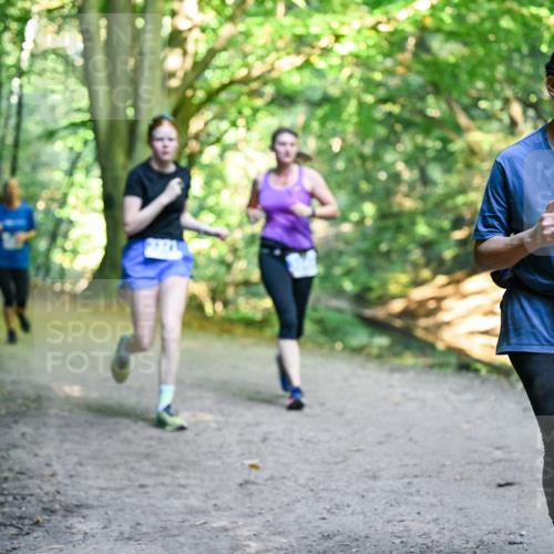 28.09.2025 - 33. Volkslauf durch das schöne Alstertal Dr. Thomas Lammeyer http://msf.ph/oto/8957865 28.09.2025 10:49:38 Laufen 315 meine-sportfotos.de