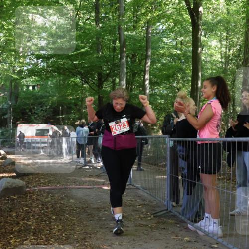 28.09.2025 - 33. Volkslauf durch das schöne Alstertal Strokosch-Dieckow http://msf.ph/oto/8957872 28.09.2025 13:05:44 Ziel 2623 meine-sportfotos.de