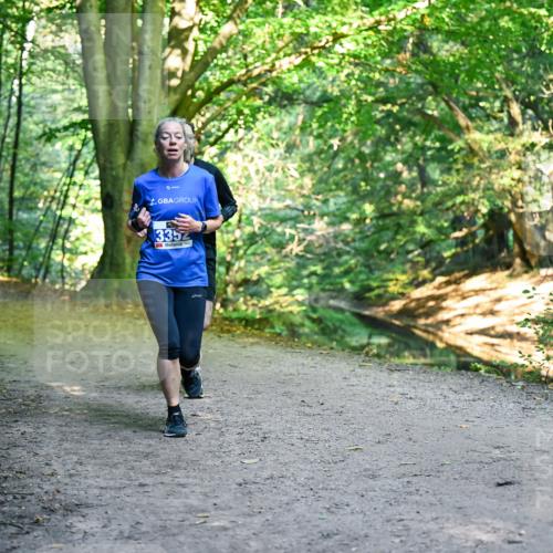 28.09.2025 - 33. Volkslauf durch das schöne Alstertal Dr. Thomas Lammeyer http://msf.ph/oto/8957881 28.09.2025 10:49:41 Laufen 3352 meine-sportfotos.de