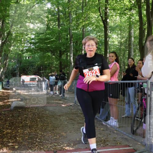 28.09.2025 - 33. Volkslauf durch das schöne Alstertal Strokosch-Dieckow http://msf.ph/oto/8957890 28.09.2025 13:05:45 Ziel  meine-sportfotos.de