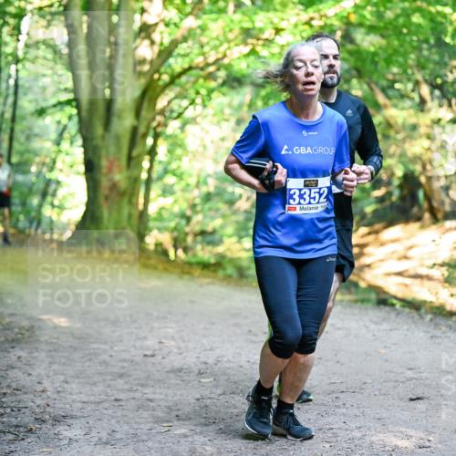 28.09.2025 - 33. Volkslauf durch das schöne Alstertal Dr. Thomas Lammeyer http://msf.ph/oto/8957891 28.09.2025 10:49:42 Laufen 3352 meine-sportfotos.de