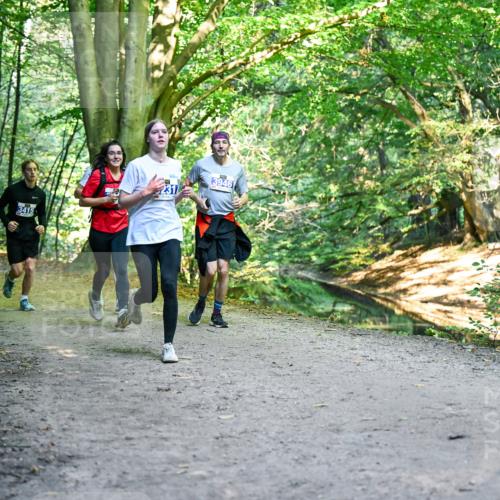 28.09.2025 - 33. Volkslauf durch das schöne Alstertal Dr. Thomas Lammeyer http://msf.ph/oto/8957896 28.09.2025 10:49:47 Laufen 3415, 231, 3946 meine-sportfotos.de