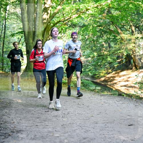 28.09.2025 - 33. Volkslauf durch das schöne Alstertal Dr. Thomas Lammeyer http://msf.ph/oto/8957900 28.09.2025 10:49:48 Laufen 545, 231, 3946 meine-sportfotos.de