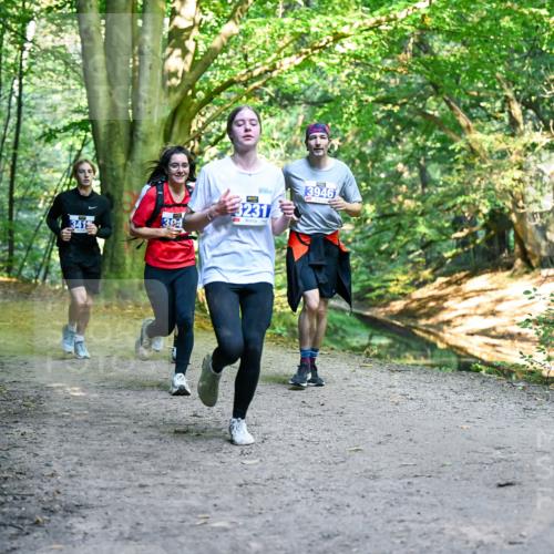 28.09.2025 - 33. Volkslauf durch das schöne Alstertal Dr. Thomas Lammeyer http://msf.ph/oto/8957903 28.09.2025 10:49:48 Laufen 394, 3231, 3946 meine-sportfotos.de