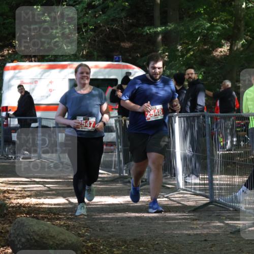 28.09.2025 - 33. Volkslauf durch das schöne Alstertal Strokosch-Dieckow http://msf.ph/oto/8957909 28.09.2025 13:06:06 Ziel 2547, 2548 meine-sportfotos.de