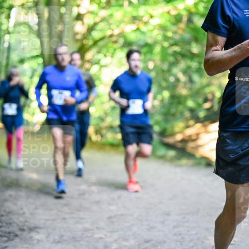 28.09.2025 - 33. Volkslauf durch das schöne Alstertal Dr. Thomas Lammeyer http://msf.ph/oto/8957943 28.09.2025 10:49:54 Laufen 335 meine-sportfotos.de