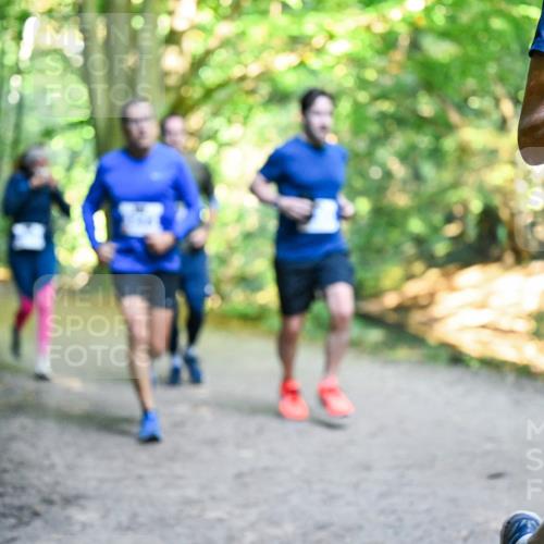 28.09.2025 - 33. Volkslauf durch das schöne Alstertal Dr. Thomas Lammeyer http://msf.ph/oto/8957944 28.09.2025 10:49:55 Laufen  meine-sportfotos.de