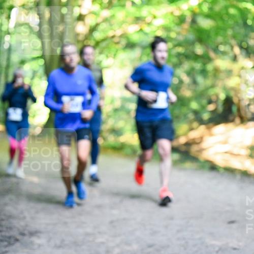 28.09.2025 - 33. Volkslauf durch das schöne Alstertal Dr. Thomas Lammeyer http://msf.ph/oto/8957945 28.09.2025 10:49:55 Laufen  meine-sportfotos.de