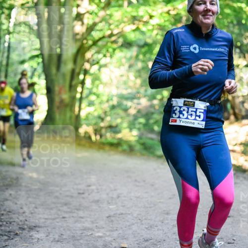 28.09.2025 - 33. Volkslauf durch das schöne Alstertal Dr. Thomas Lammeyer http://msf.ph/oto/8957957 28.09.2025 10:49:57 Laufen 3355 meine-sportfotos.de