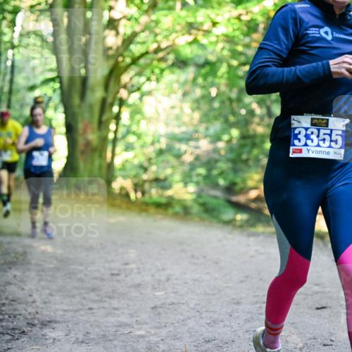 28.09.2025 - 33. Volkslauf durch das schöne Alstertal Dr. Thomas Lammeyer http://msf.ph/oto/8957958 28.09.2025 10:49:57 Laufen 3355 meine-sportfotos.de