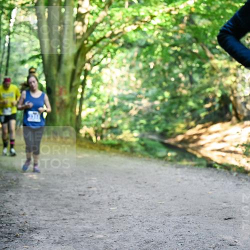 28.09.2025 - 33. Volkslauf durch das schöne Alstertal Dr. Thomas Lammeyer http://msf.ph/oto/8957960 28.09.2025 10:49:58 Laufen 3355 meine-sportfotos.de
