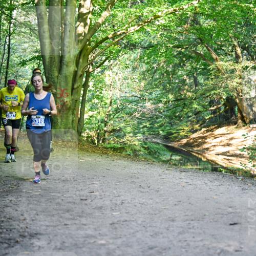 28.09.2025 - 33. Volkslauf durch das schöne Alstertal Dr. Thomas Lammeyer http://msf.ph/oto/8957961 28.09.2025 10:49:58 Laufen 3125, 3937, 3318 meine-sportfotos.de