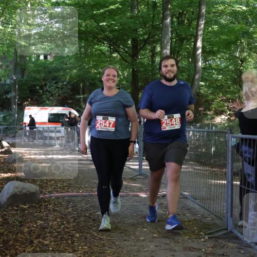 28.09.2025 - 33. Volkslauf durch das schöne Alstertal Strokosch-Dieckow http://msf.ph/oto/8957962 28.09.2025 13:06:11 Ziel 2547, 2548 meine-sportfotos.de