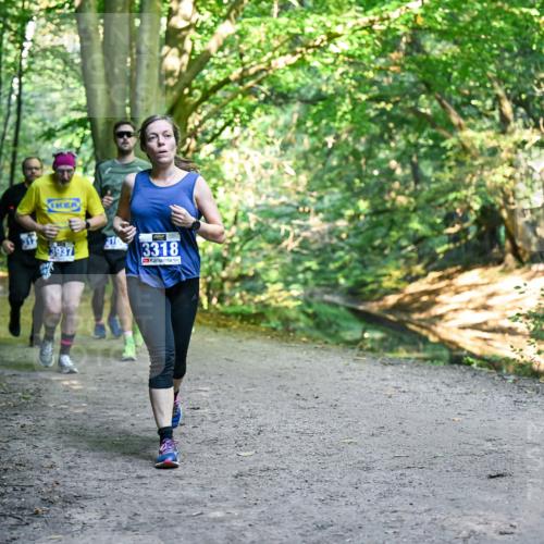 28.09.2025 - 33. Volkslauf durch das schöne Alstertal Dr. Thomas Lammeyer http://msf.ph/oto/8957966 28.09.2025 10:49:59 Laufen 3937, 3318 meine-sportfotos.de
