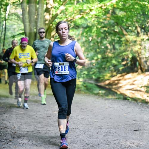 28.09.2025 - 33. Volkslauf durch das schöne Alstertal Dr. Thomas Lammeyer http://msf.ph/oto/8957972 28.09.2025 10:50:00 Laufen 3318 meine-sportfotos.de