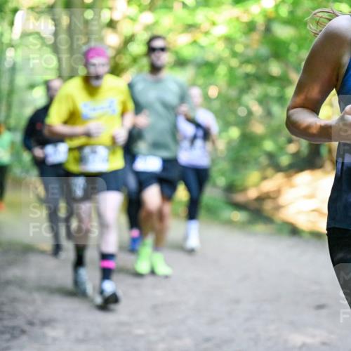 28.09.2025 - 33. Volkslauf durch das schöne Alstertal Dr. Thomas Lammeyer http://msf.ph/oto/8957978 28.09.2025 10:50:01 Laufen 3318 meine-sportfotos.de