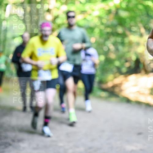 28.09.2025 - 33. Volkslauf durch das schöne Alstertal Dr. Thomas Lammeyer http://msf.ph/oto/8957979 28.09.2025 10:50:01 Laufen  meine-sportfotos.de