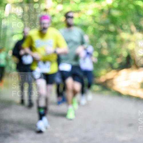 28.09.2025 - 33. Volkslauf durch das schöne Alstertal Dr. Thomas Lammeyer http://msf.ph/oto/8957980 28.09.2025 10:50:01 Laufen  meine-sportfotos.de