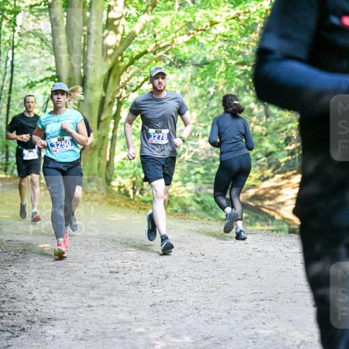 28.09.2025 - 33. Volkslauf durch das schöne Alstertal Dr. Thomas Lammeyer http://msf.ph/oto/8957994 28.09.2025 10:50:04 Laufen 3250, 3278, 312 meine-sportfotos.de