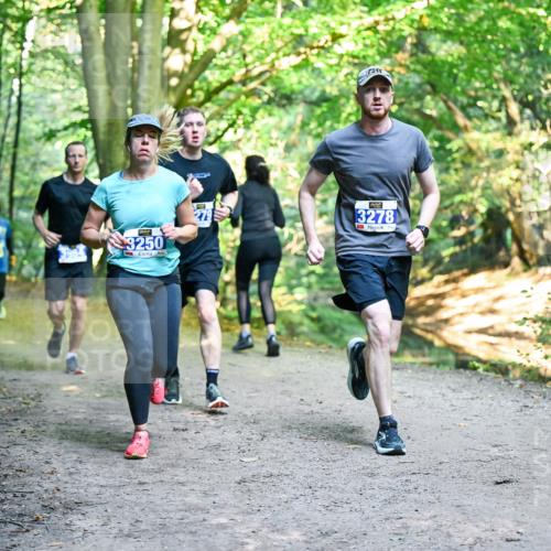 28.09.2025 - 33. Volkslauf durch das schöne Alstertal Dr. Thomas Lammeyer http://msf.ph/oto/8958000 28.09.2025 10:50:05 Laufen 3250, 3278 meine-sportfotos.de