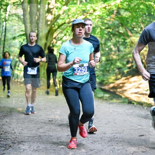 28.09.2025 - 33. Volkslauf durch das schöne Alstertal Dr. Thomas Lammeyer http://msf.ph/oto/8958006 28.09.2025 10:50:06 Laufen 3250, 3278 meine-sportfotos.de