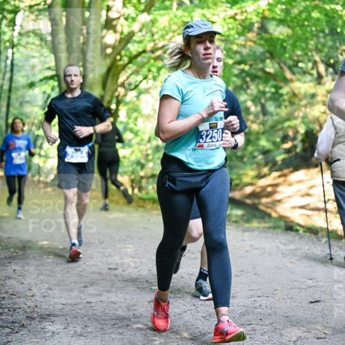 28.09.2025 - 33. Volkslauf durch das schöne Alstertal Dr. Thomas Lammeyer http://msf.ph/oto/8958007 28.09.2025 10:50:06 Laufen 3954, 3250, 3278 meine-sportfotos.de