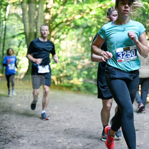 28.09.2025 - 33. Volkslauf durch das schöne Alstertal Dr. Thomas Lammeyer http://msf.ph/oto/8958010 28.09.2025 10:50:07 Laufen 3250 meine-sportfotos.de