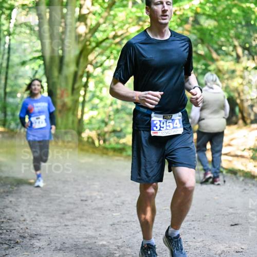 28.09.2025 - 33. Volkslauf durch das schöne Alstertal Dr. Thomas Lammeyer http://msf.ph/oto/8958019 28.09.2025 10:50:08 Laufen 3954 meine-sportfotos.de
