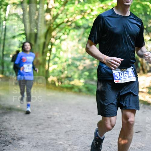 28.09.2025 - 33. Volkslauf durch das schöne Alstertal Dr. Thomas Lammeyer http://msf.ph/oto/8958021 28.09.2025 10:50:08 Laufen 3954 meine-sportfotos.de